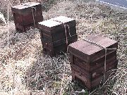 �~�c�o�`�����P