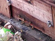 �~�c�o�`�����Q