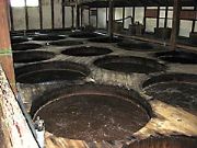 ����ݖ���