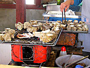  �T�U�G�̚�Ă�(1)