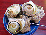 �T�U�G�̚�Ă�(2)