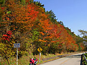 ��܂Ȃ݃n�C�E�F�C�̍g�t