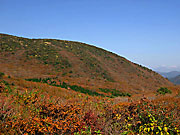 �H�̖q�m�˓�