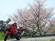 �����̍�