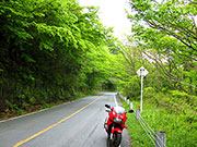 �V�΂̋e�r�k�J