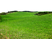 �V�΂̖q���n