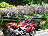 ����442�������̓��I�P