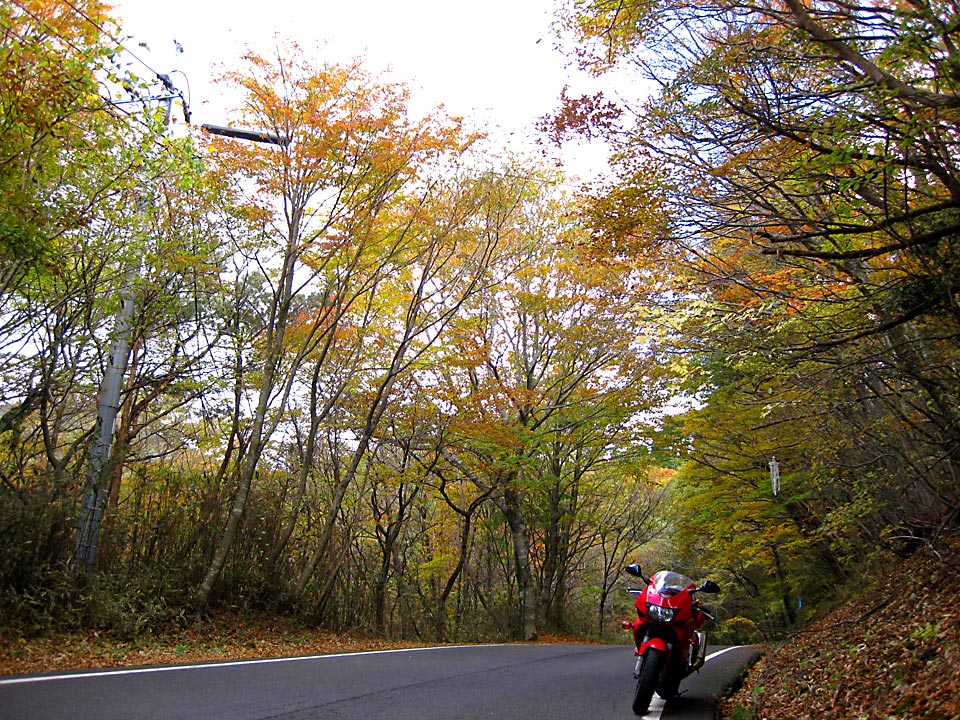 ��d�̍g�t2012�H�P