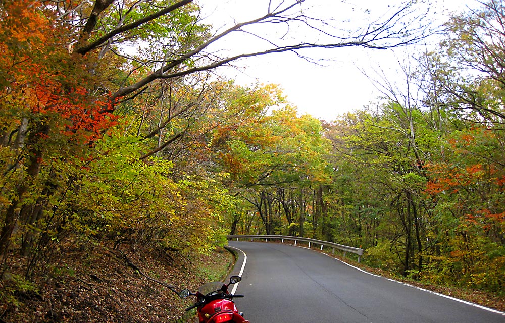 ��d�̍g�t2012�H�Q