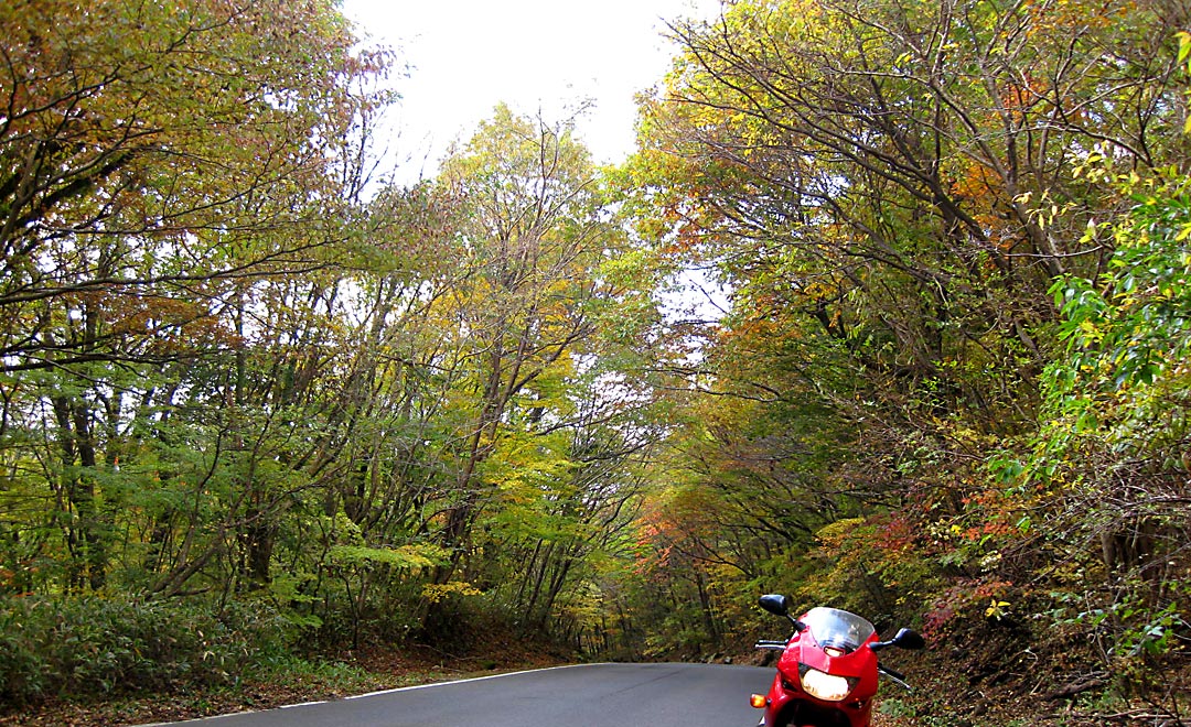 ��d�̍g�t2012�H�R