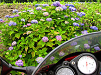 ���S�@�̎��z��