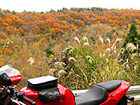 �@�� 2013 �H 1