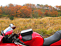 �@�� 2013 �H 2