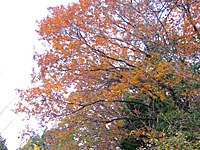 �@�� 2013 �H 3