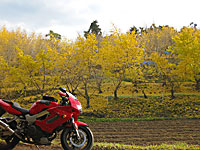 �F�� 2013 ��� 1