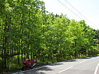 ��n��̐V��