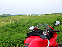 ���h�̊O�֎R�̖q�� 1