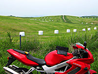 ���h�̊O�֎R�̖q�� 2