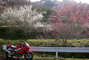 �F���̍g�~�E���~