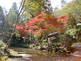 ���S�@�̍g�t1