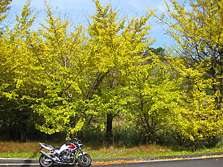 ���S�@�̍g�t3