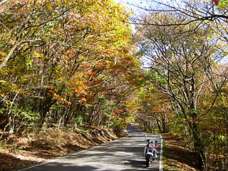 ��d�g�t2016_