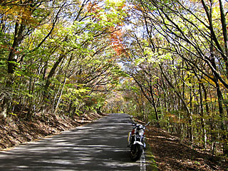 ��d�g�t2016_2