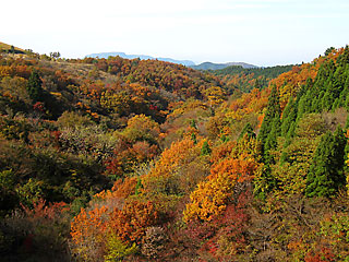 ��d�g�t2016_3