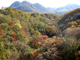 ��d�g�t2016_4