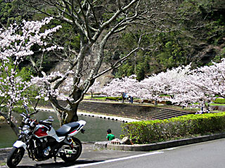 ���������̍�1