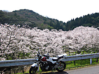 ���������̍�2