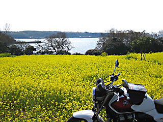 �؂̉ԃt�F�X�^2018_3