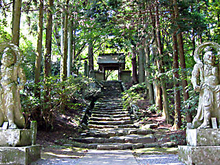 ���q���̋����͎m��