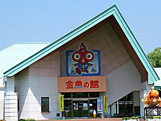 �����̊�1