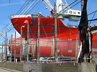 �P�n�̑��D��