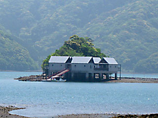 �͉Y�C��R�e�[�W