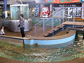 �O�a�t�F���[2