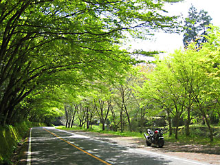 ��n��̐V��2