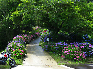 ��������1