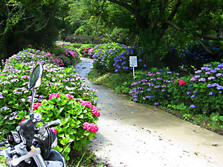 ��������2