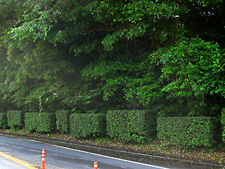 ��������3