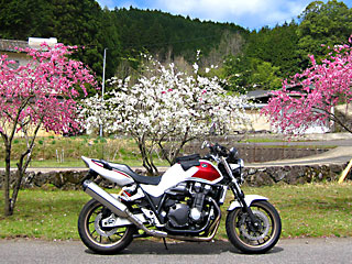 ���S�@�̍g�~�A���~