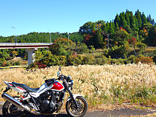 ���o���̂�����