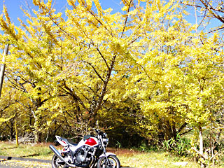 ���̃C�`���E1