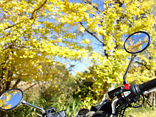 ���̂����傤2