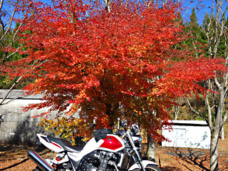 ��d�̂��݂�1