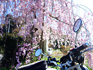 �L�O�̎}�����<