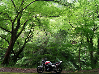 �[��n��2022_1