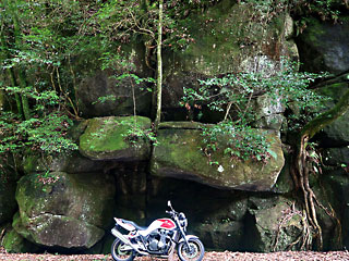 �[��n��2022_2