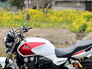 �؂̉Ԃ̕��i 1